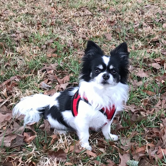 Meet your Posher, Mary - Picture 6 of 16